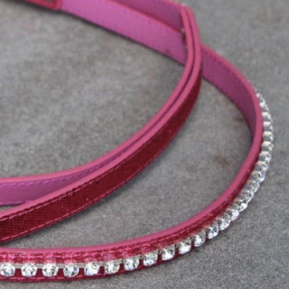 Runway Ready - Glammed Out Pet Leash - Picture 9 of 10